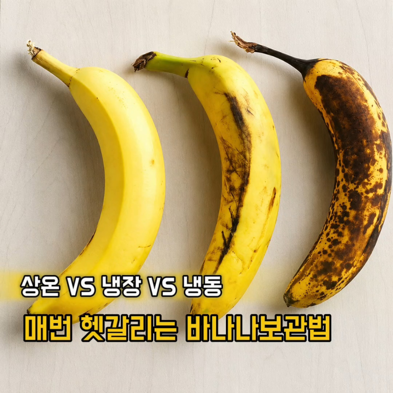 바나나 실온? 냉장? 냉동? 상태별 올바른 보관법 3단계