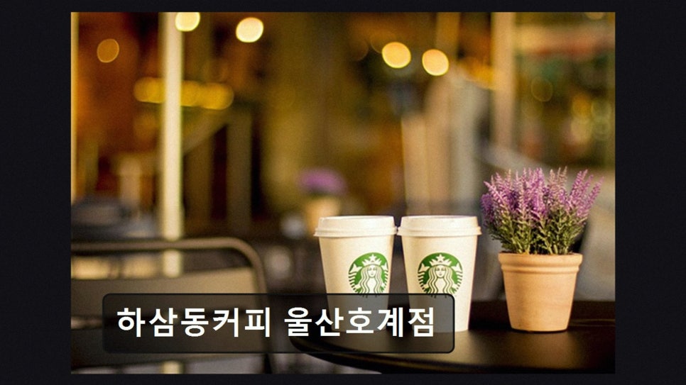 하삼동커피 울산염포점 사진 6
