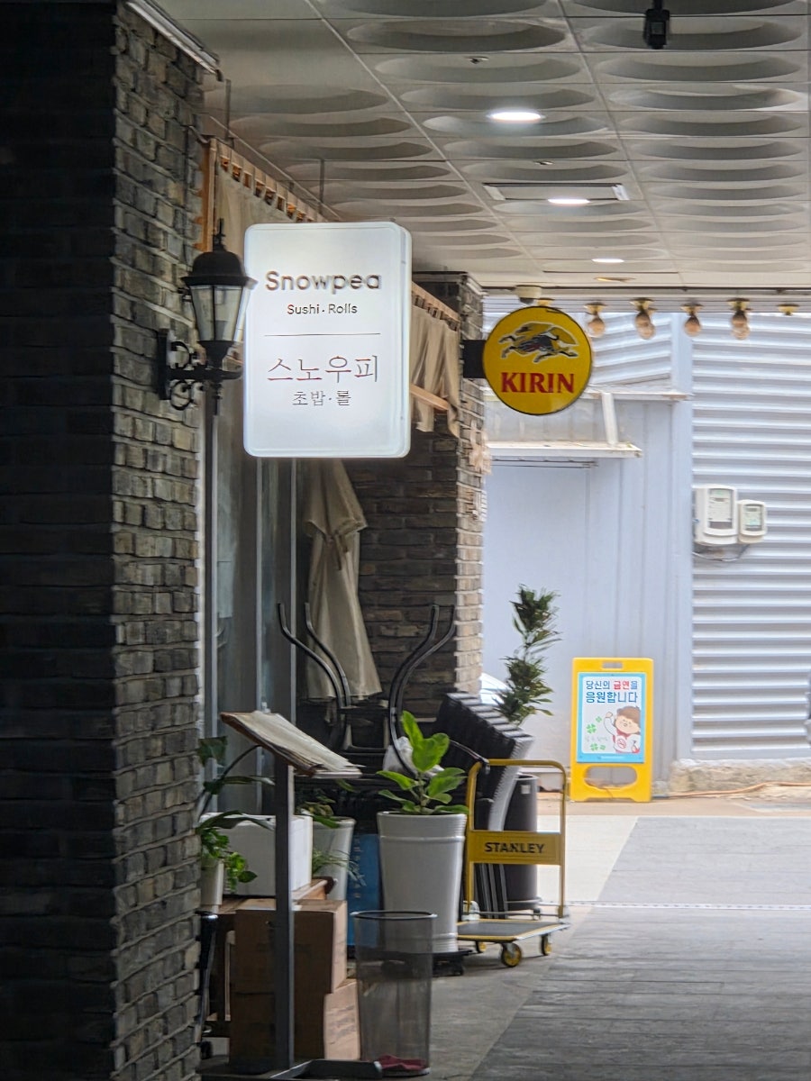 스노우피 사진 4