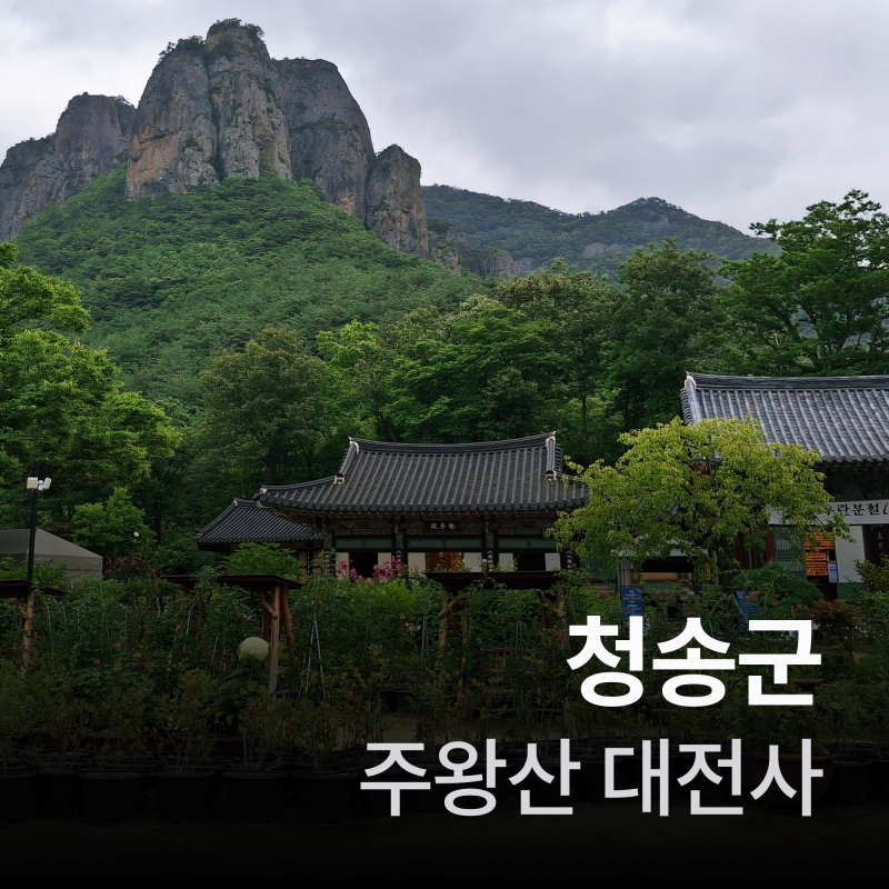 청송여행(대전사/주왕산맛집)