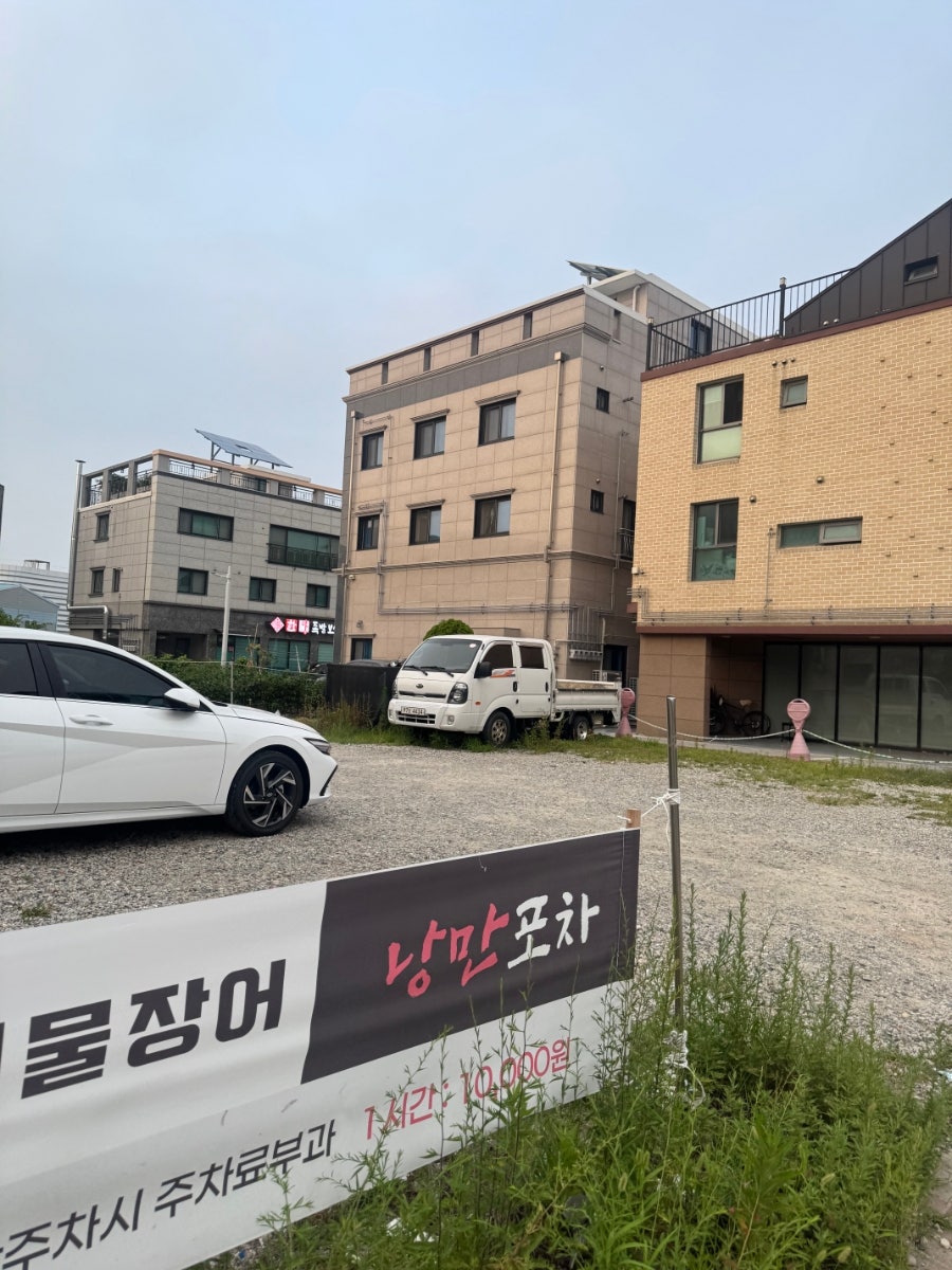 딱따구리 사진 3