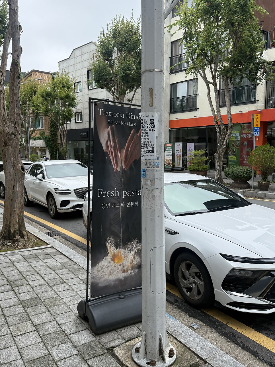 트라토리아디모로 사진 3