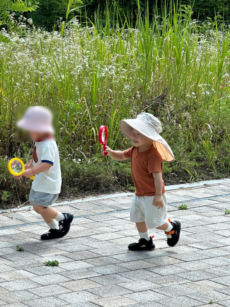 전원일기 사진 2