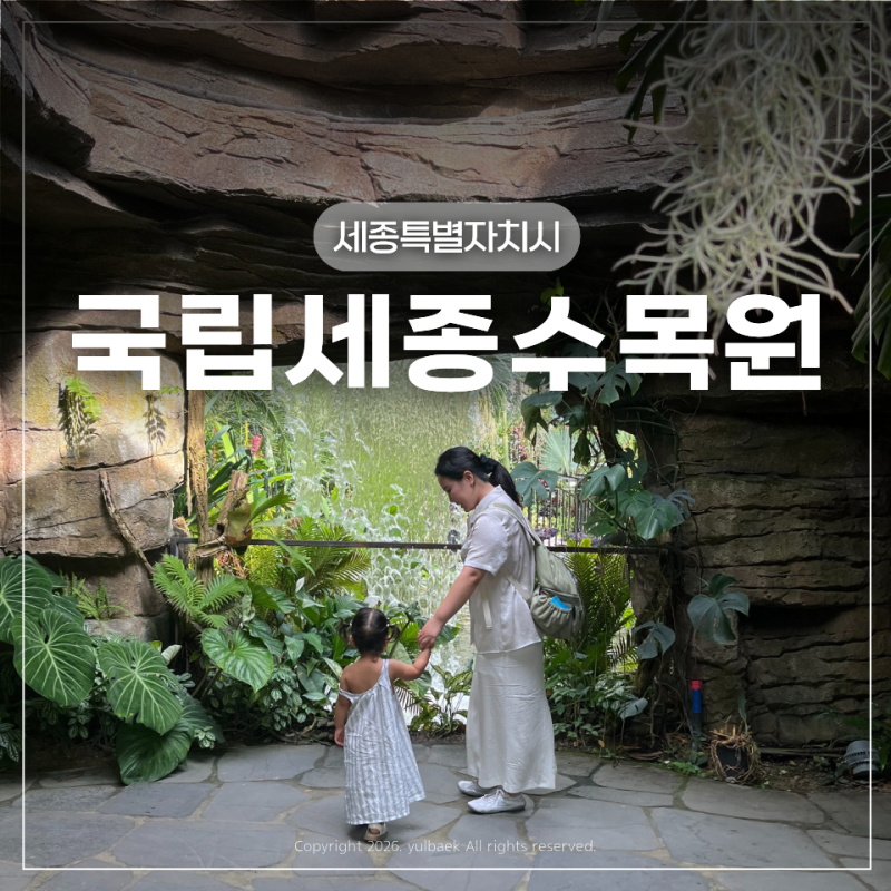 세종 가볼만한 곳 국립세종수목원 온실 총정리(주차, 입장료 할인, 입장시간)