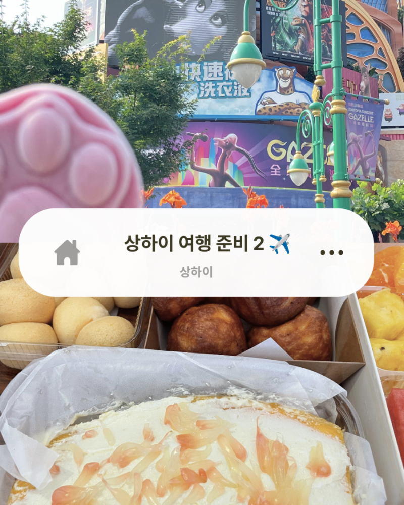 [상하이] 여행 준비2 -필수❗️ 고덕지도 주소 공유