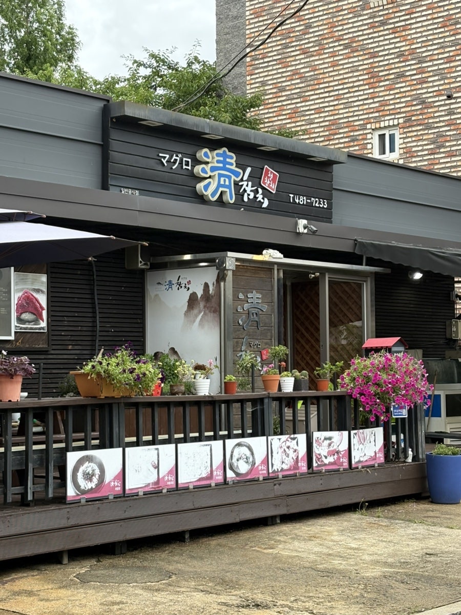 청참치 사진 4