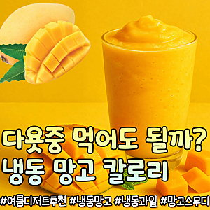 다이어트중 먹어도 된다고?? 냉동 망고 효능 칼로리 얼린망고 스무디 레시피