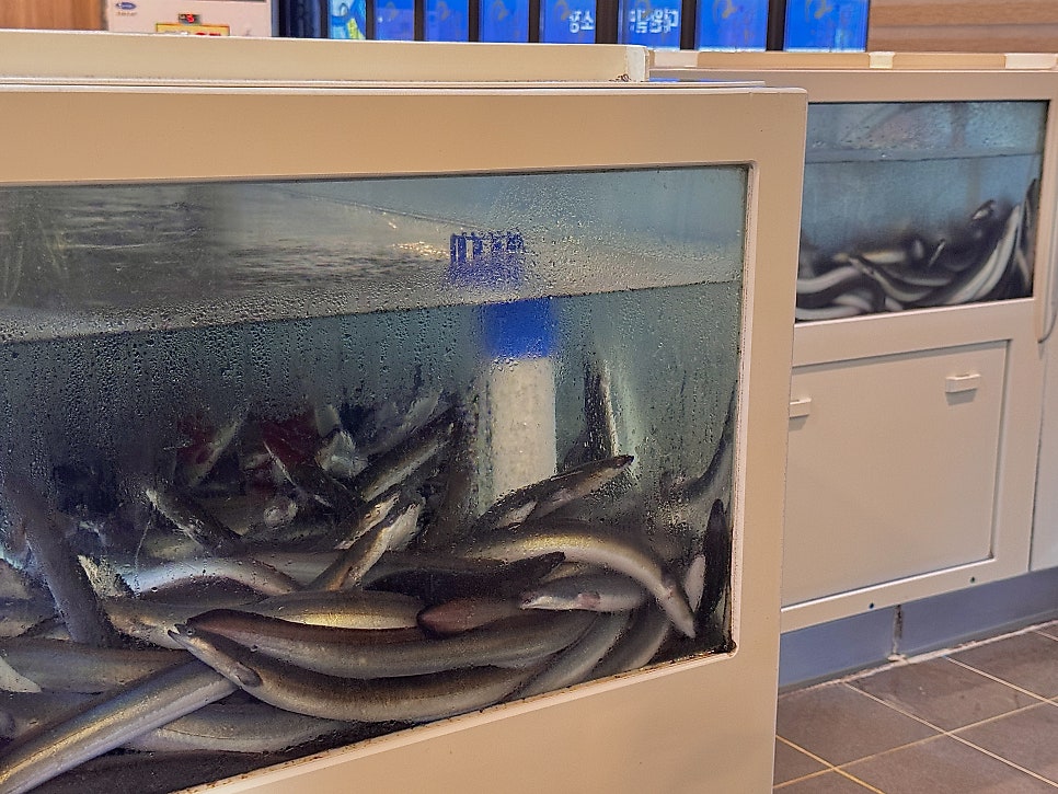 한방장어구이 사직거제점 사진 6