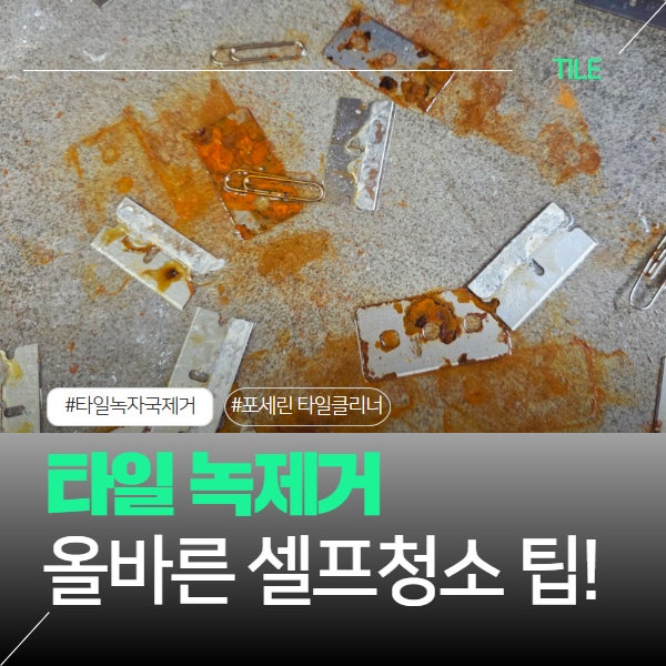무광 포세린 타일 녹제거 아무리 닦아도 안 지워진다면? 방법은 위시오 타일클리너와 듀얼클....