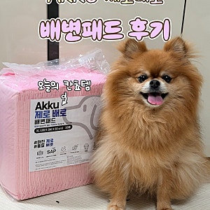 강아지 배변패드 추천, 아꾸 배변패드 사용 후기