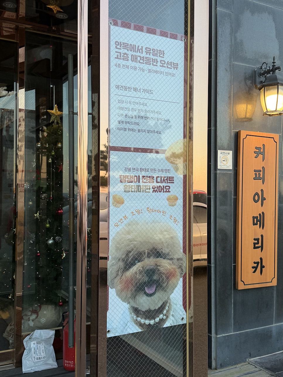 커피아메리카 사진 4
