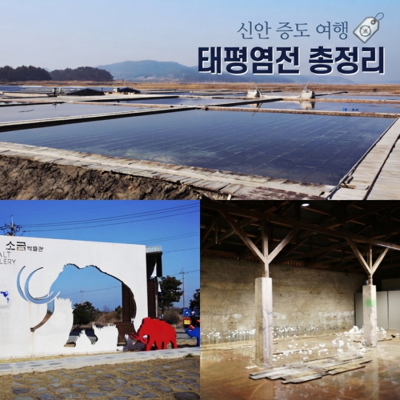 신안 가볼 만한 곳: 신안 소금박물관 맘모스 포토존까지! 태평염전 여행기 총정리