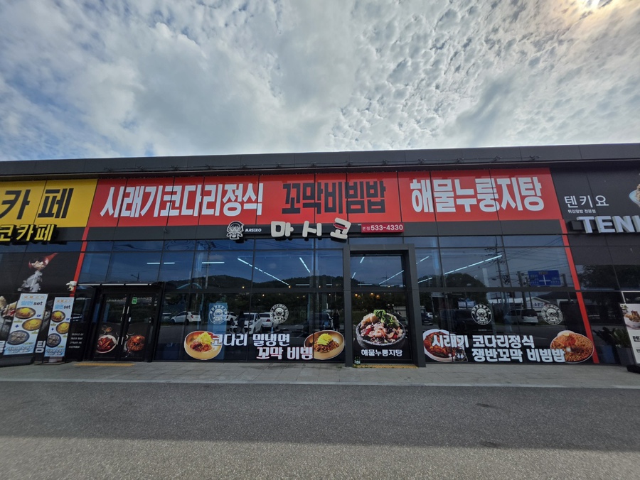 마시코 사진 2