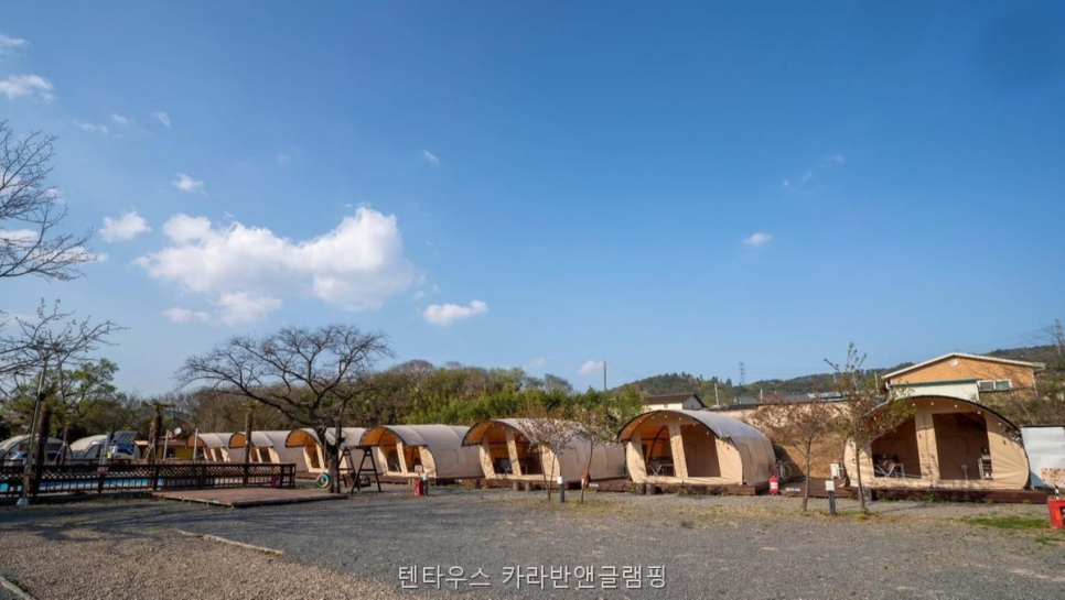 텐타우스 사진 4