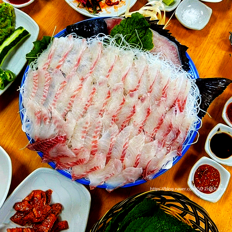 쯔양몇끼 제주 다금바리 맛집 어디? 서귀포 산방산 자연산 횟집 위치·메뉴·가격·후기