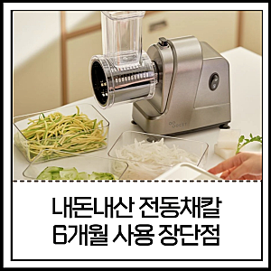 전동채칼 후기 손목 아픈사람에게 좋았던 자동채칼 가격 비교 (당근라페 처돌이)