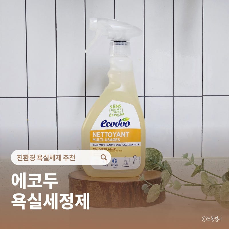 친환경 욕실세제 추천 에코두 욕실세정제 화장실청소 꿀템