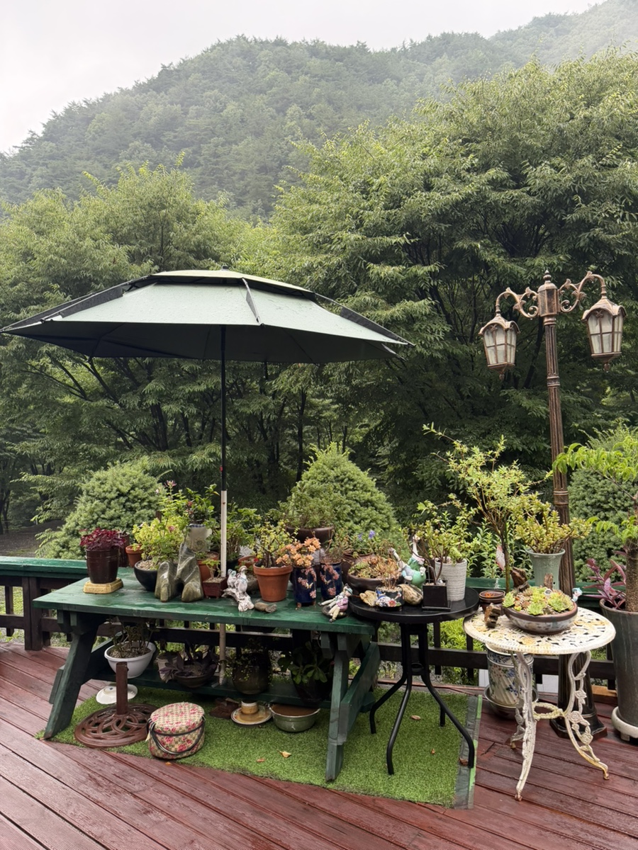 쉬놀펜션 사진 5