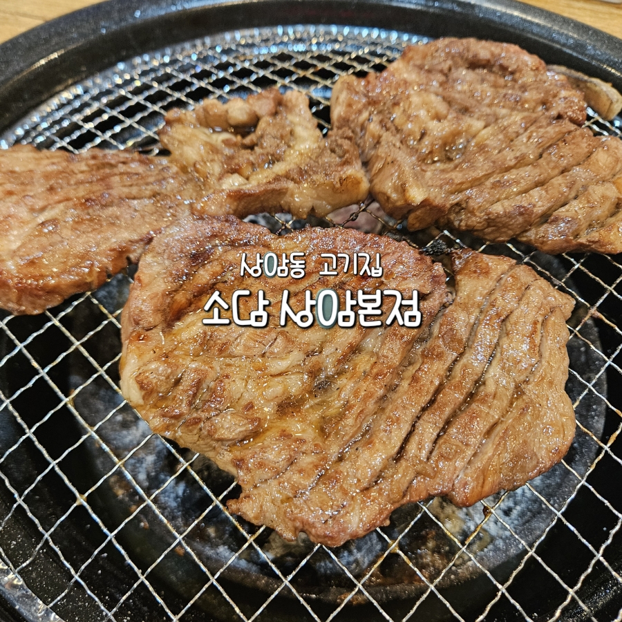 소담 사진 2
