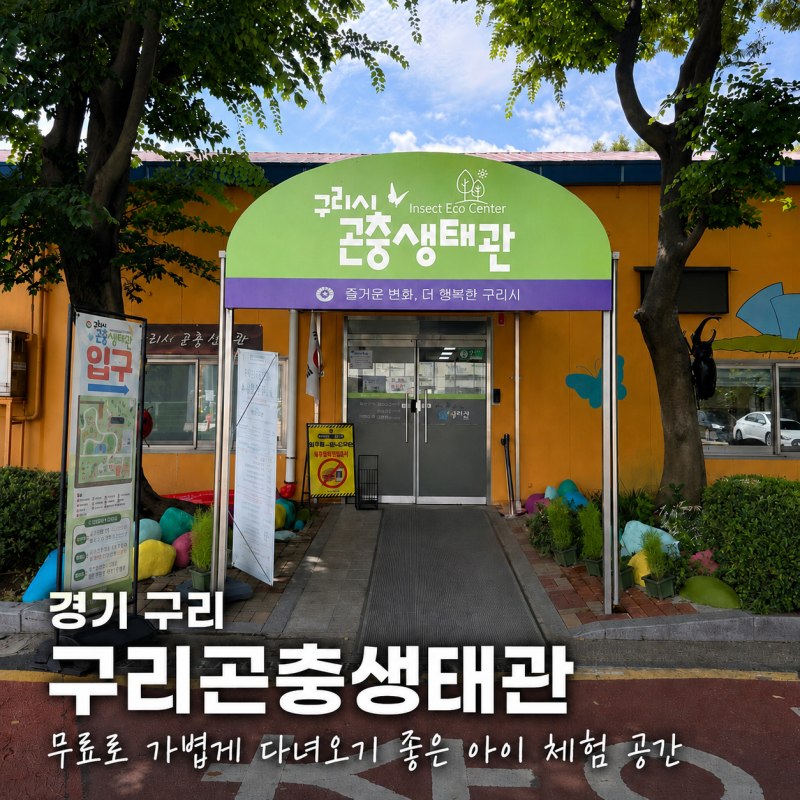 구리 아이와 가볼 만한 곳｜무료 체험 가능한 구리시곤충생태관 5세 후기
