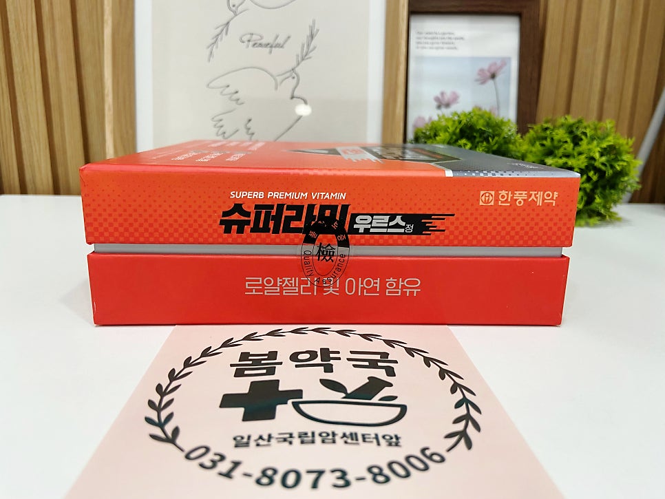 봄약국 사진 5
