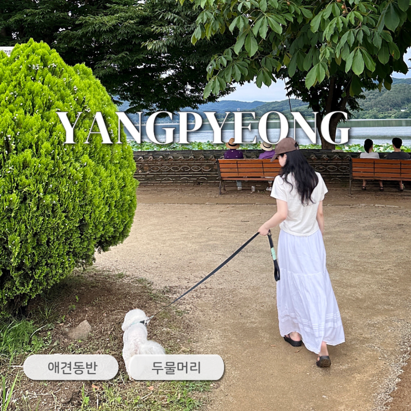 핫도그도 먹고 산책도하고, 서울근교 양평 두물머리 애견동반 나들이