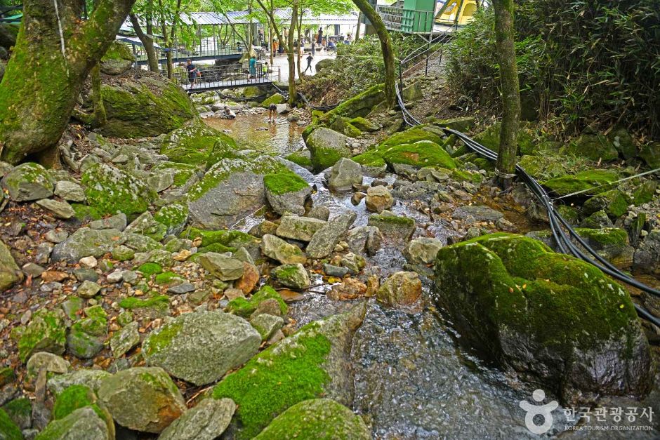 지지계곡 사진 6