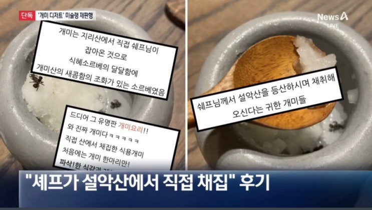 <b>미슐랭</b>2스타 식품위생법 위반 구형 현실로…‘<b>개미 디저트</b>’... 