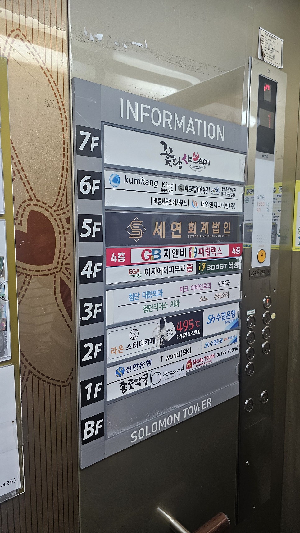 꽃담샤브 사진 3