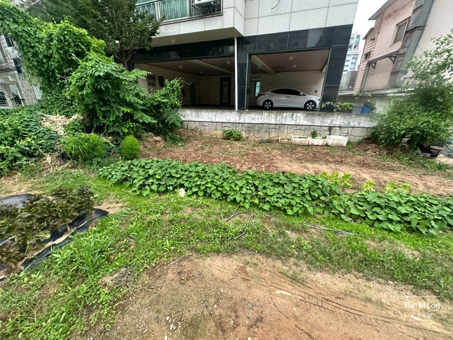 두손고기 사진 6