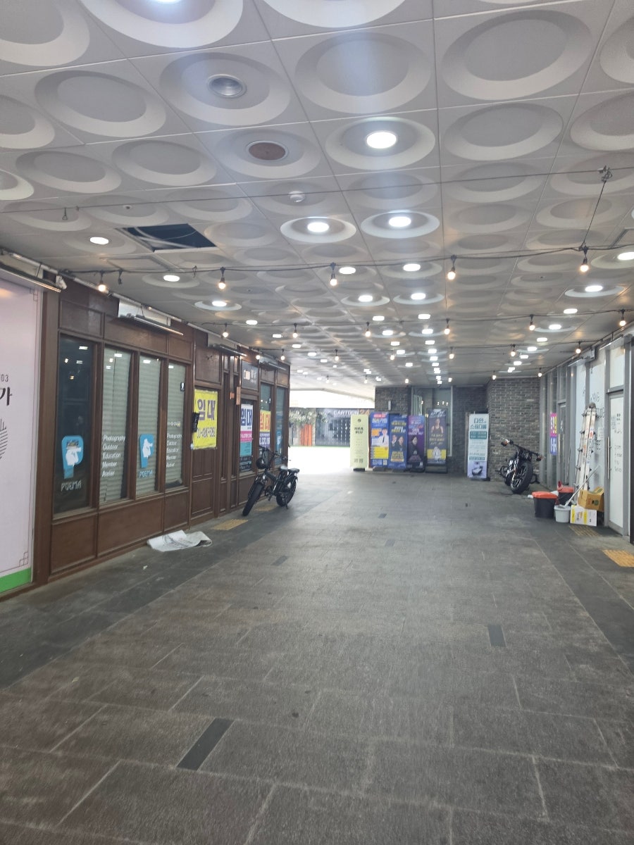 스노우피 사진 1