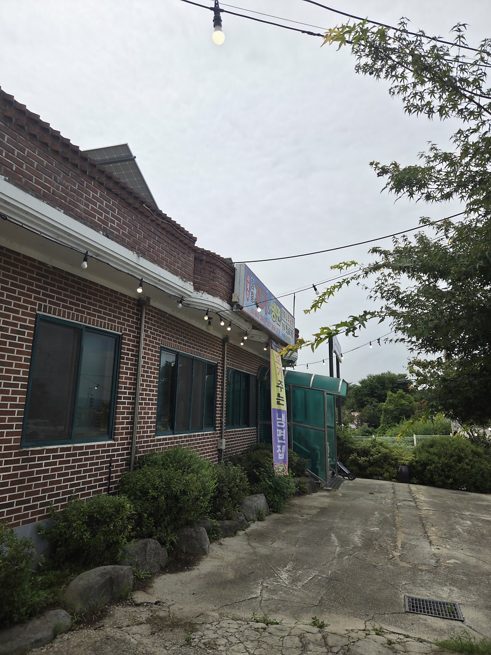 꼬기냉면 사진 3