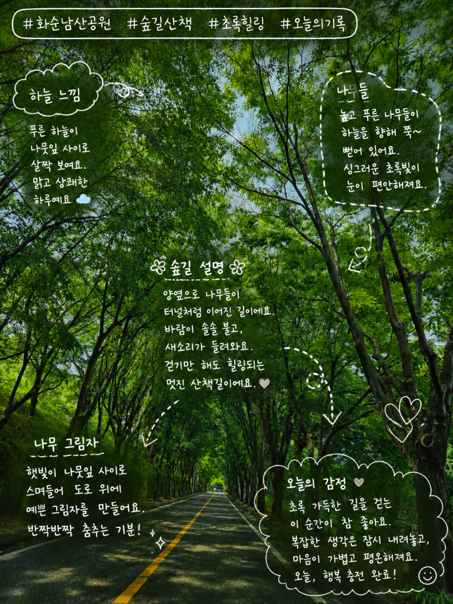 남산 사진 1