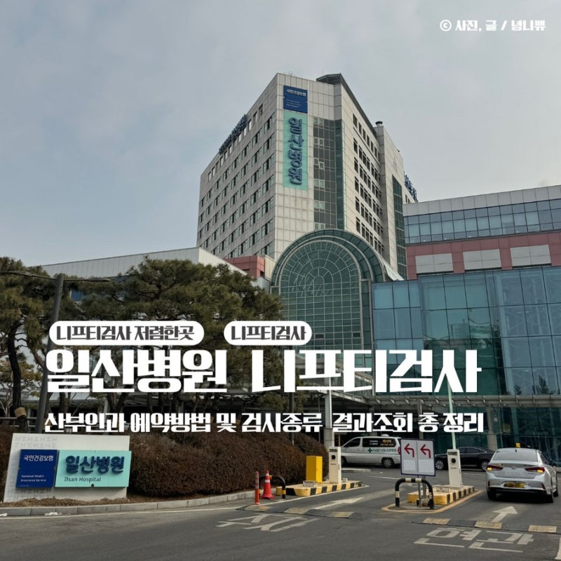 일산병원 니프티검사 산부인과 예약방법 및 검사 종류 결과조회 방법 총정리