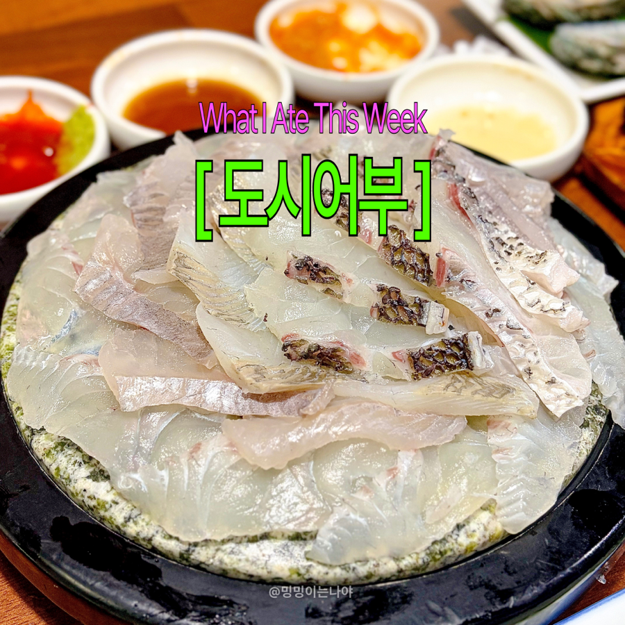 도시어부 사진 1