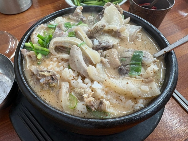 천안 신부동 천안 터미널 근처 혼밥 맛집 수정순대국밥 주말 저녁 방문후기