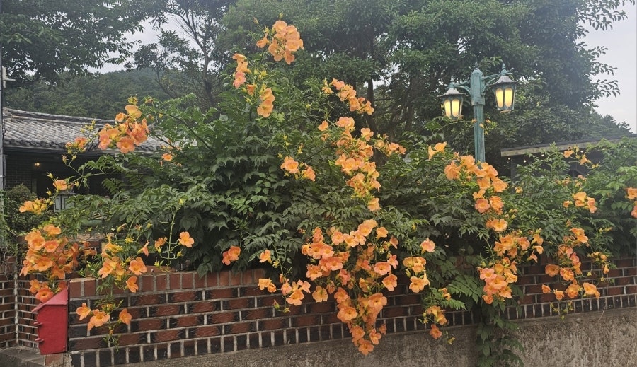 신의한근 사진 6