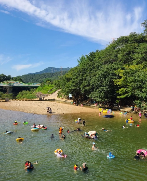 장령산자연휴양림 야영장 사진 2
