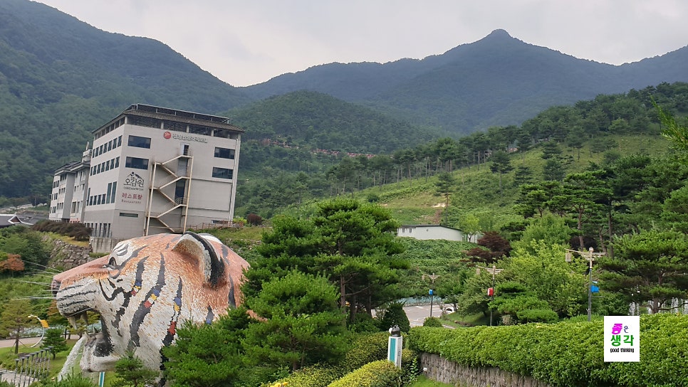 동의보감 사진 3