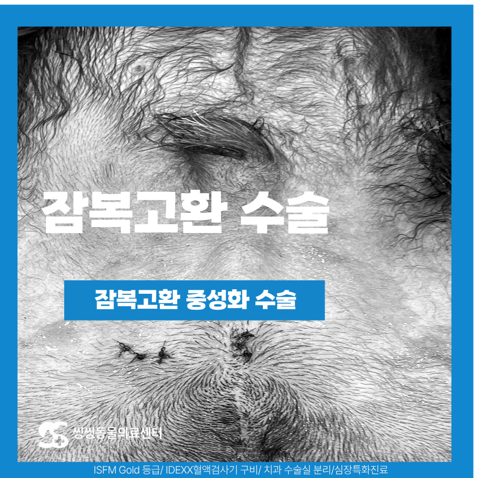 씽씽동물의료센터 사진 1