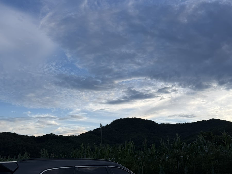 강산포조개칼국수보쌈 사진 3