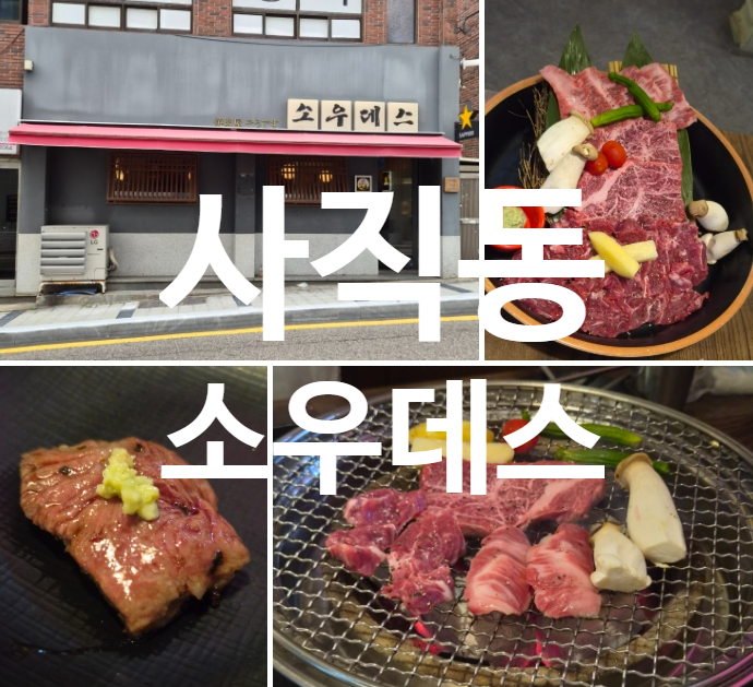소우데스 사진 1