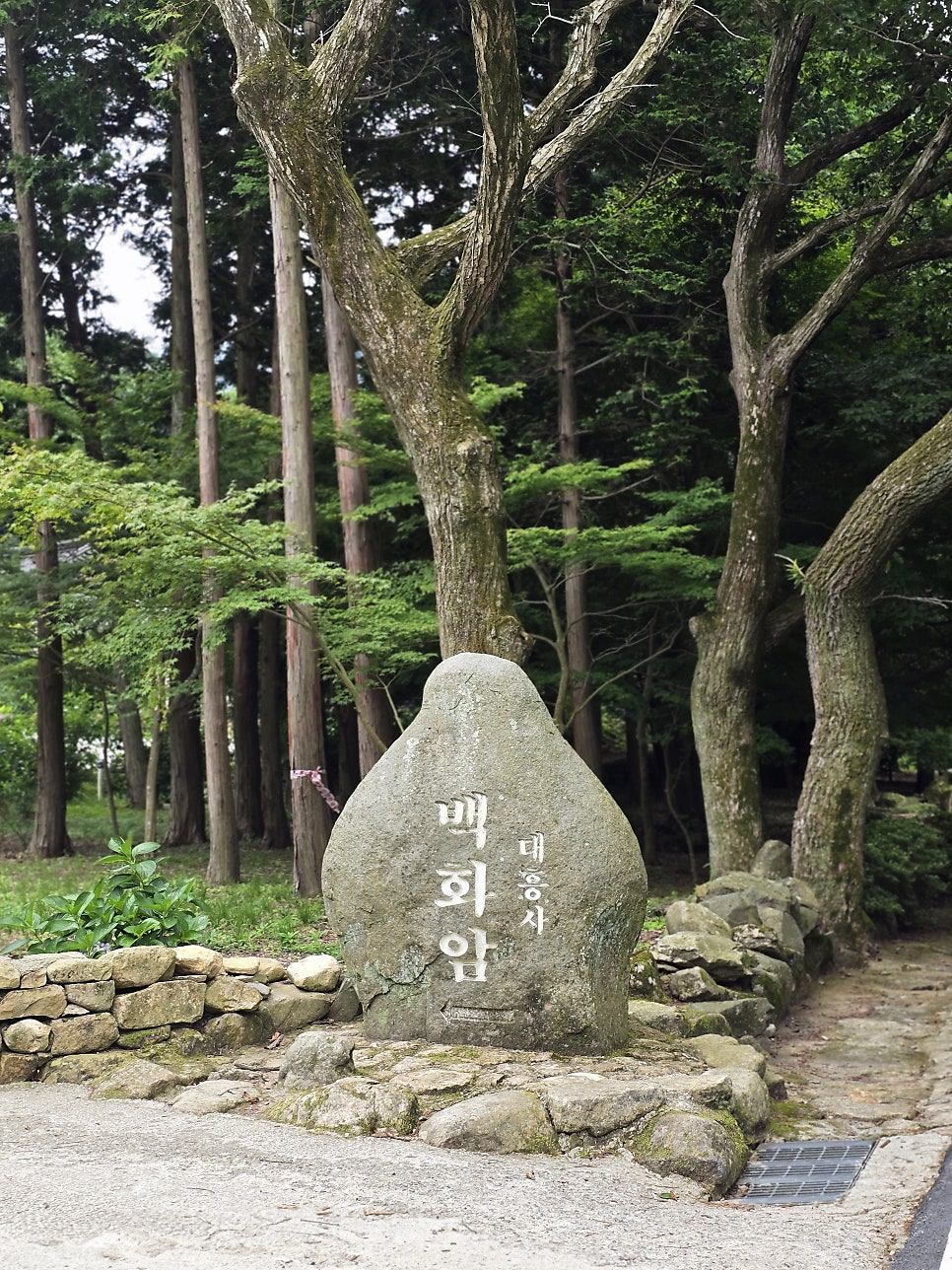 카페유선 사진 5