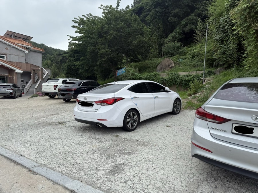 천리향 사진 2