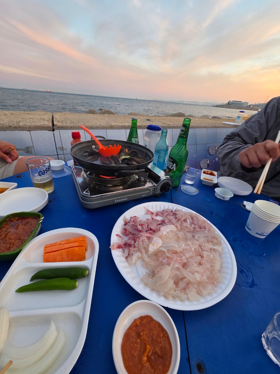 은빛해물 사진 6