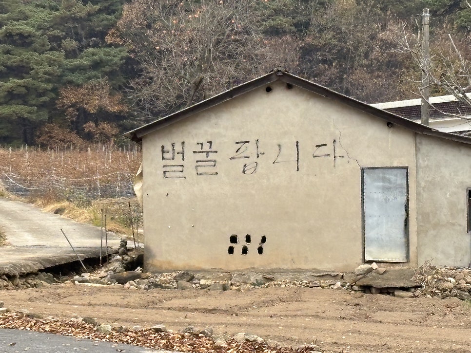 신토불이묵집 사진 1