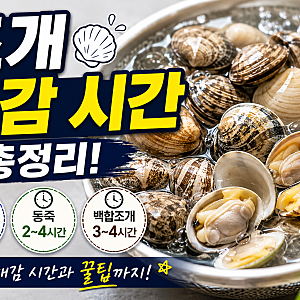 조개 해감 방법: 바지락 백합 동죽 등 종류별 해감 시간과 가장 쉬운법 총정리