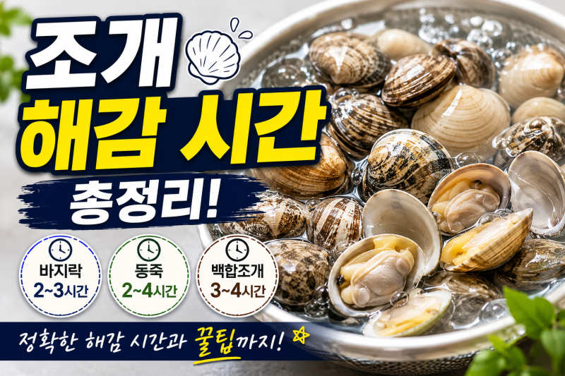 조개 해감 방법: 바지락 백합 동죽 등 종류별 해감 시간과 가장 쉬운법 총정리