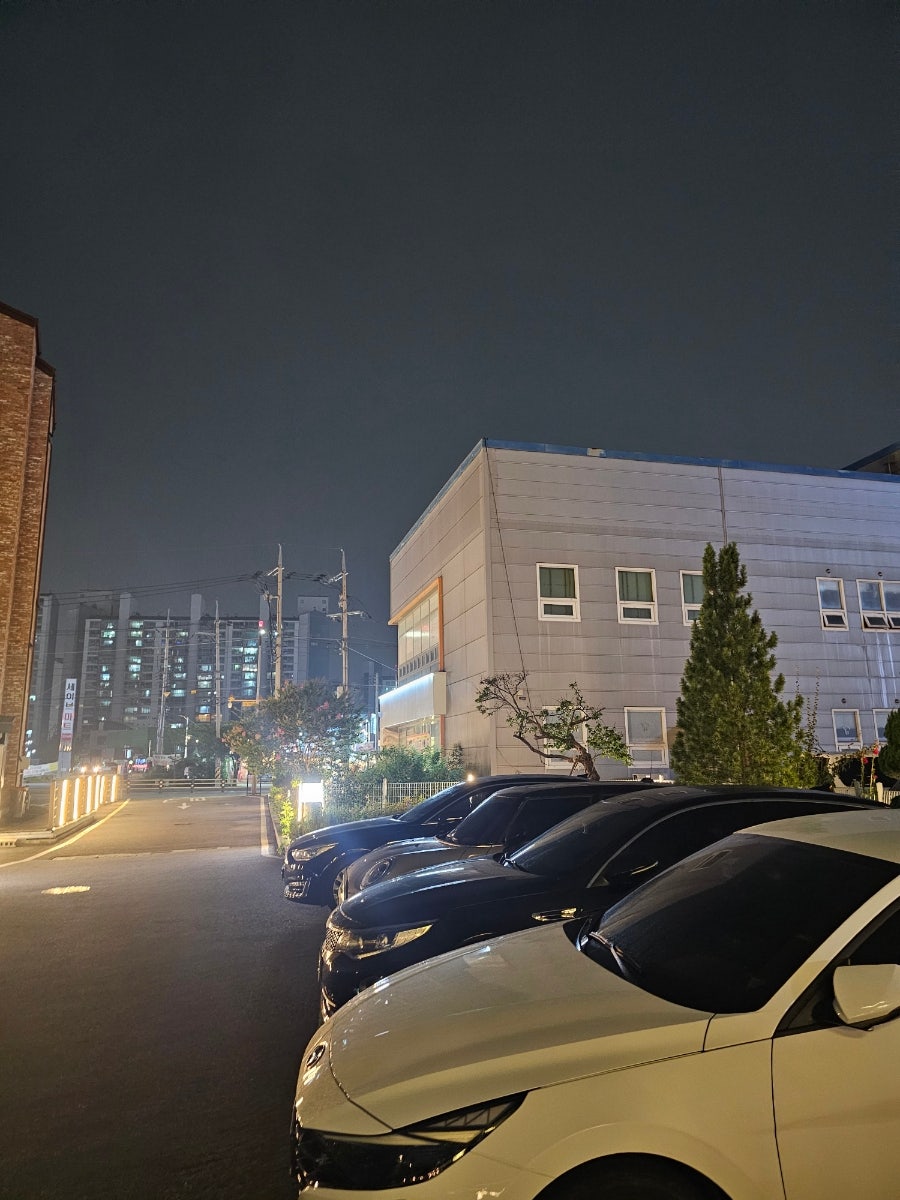 레브 사진 3