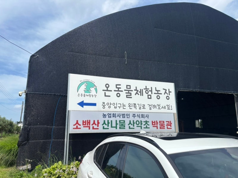 [시흥 아이와 가기 좋은] 동물 먹이주기, 농작물 수확 체험, 모래놀이까지~ 온갖 체험 가능 농....
